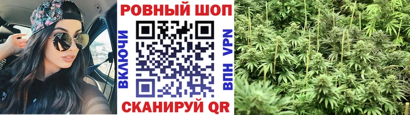 Купить наркотики цена Болгар Alpha PVP ГАШИШ Бошки Шишки Бутират Кокаин