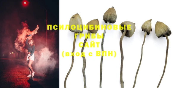 герыч Алзамай