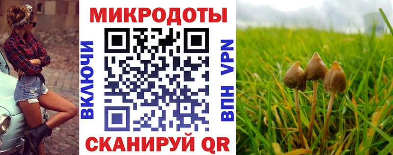 Галлюциногенные грибы мицелий  закладка  мориарти Telegram  Болгар 