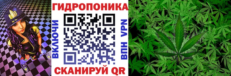 Бошки марихуана конопля  сколько стоит  Болгар 